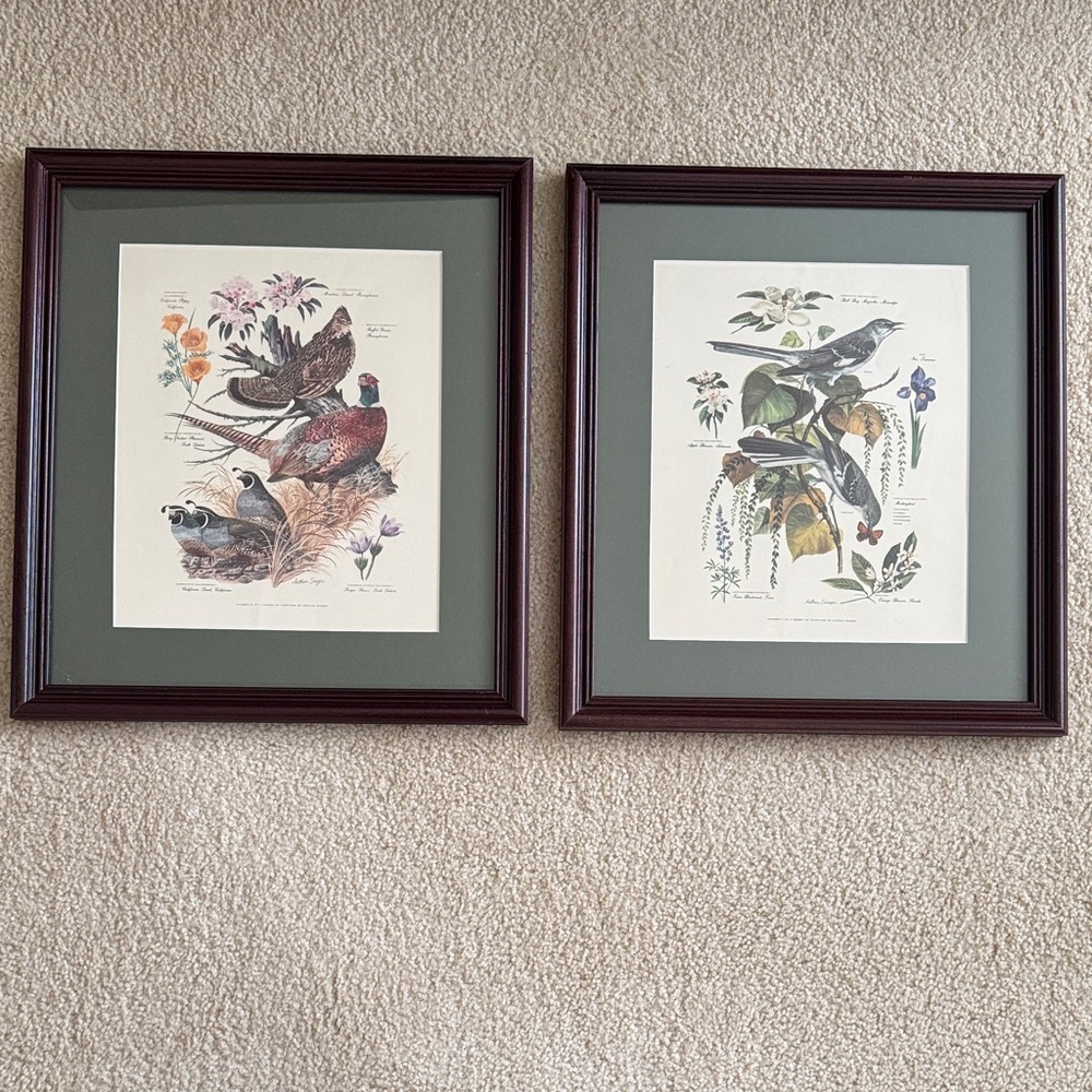 Arthur Singer Vintage Framed Bird Art Prints Set